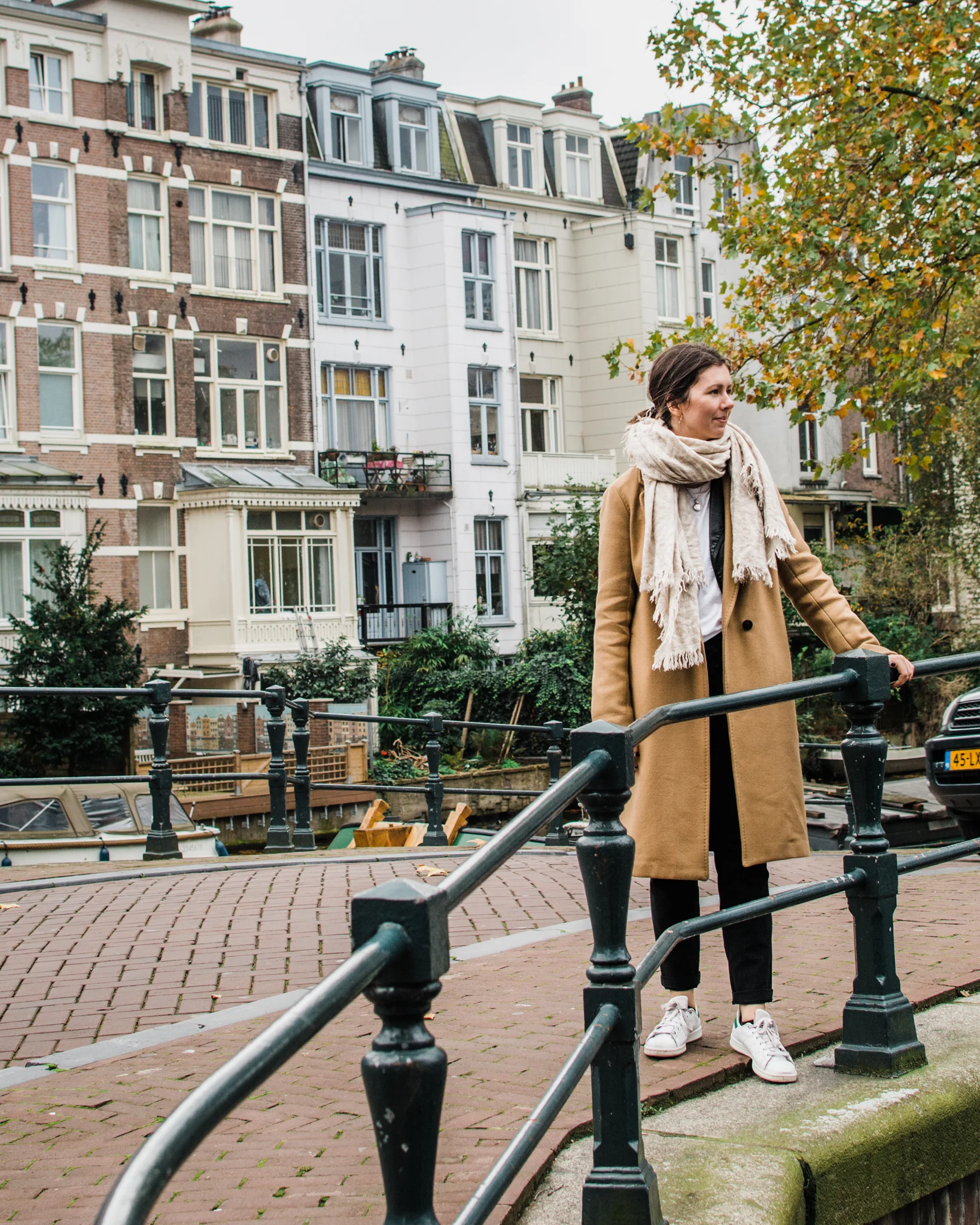 Aritzia stedman coat cheap